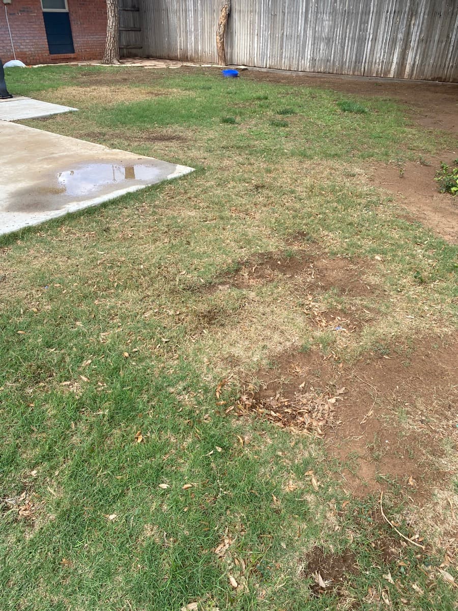 Residential Yard — Ready for Service